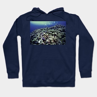 REEF SCENE Hoodie